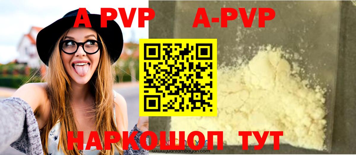 A PVP СК КРИС Аргун