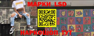 шишки Тара