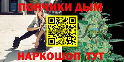 шишки Тара