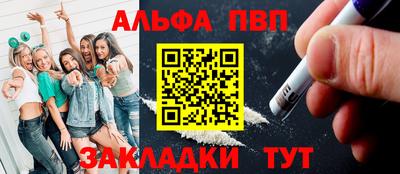 шишки Тара