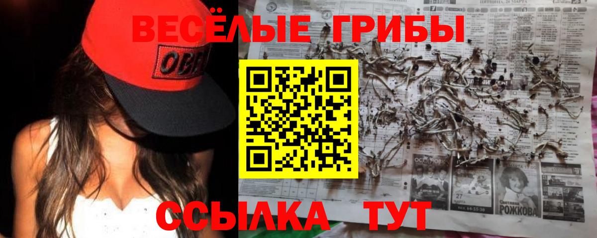 Псилоцибиновые грибы Magic Shrooms Аргун