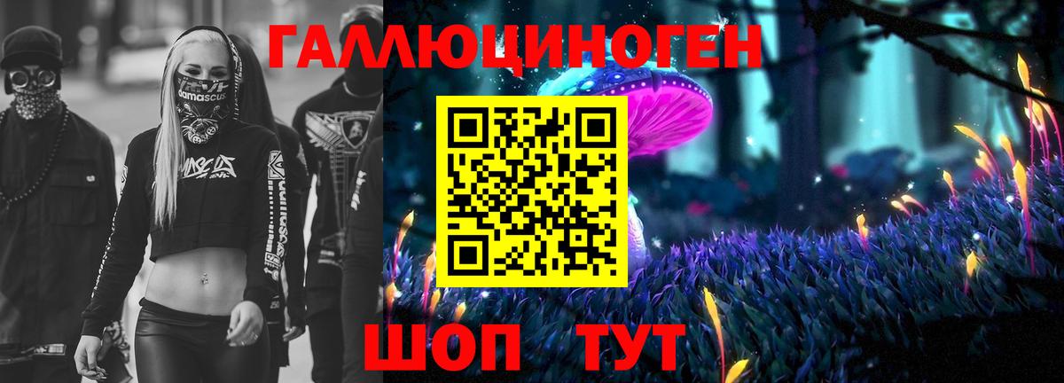 Псилоцибиновые грибы Psilocybine cubensis  Вход с VPN  Аргун 